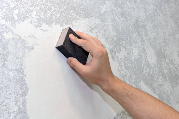 Best Water Damage & Mold Remediation  in Melwood, MD