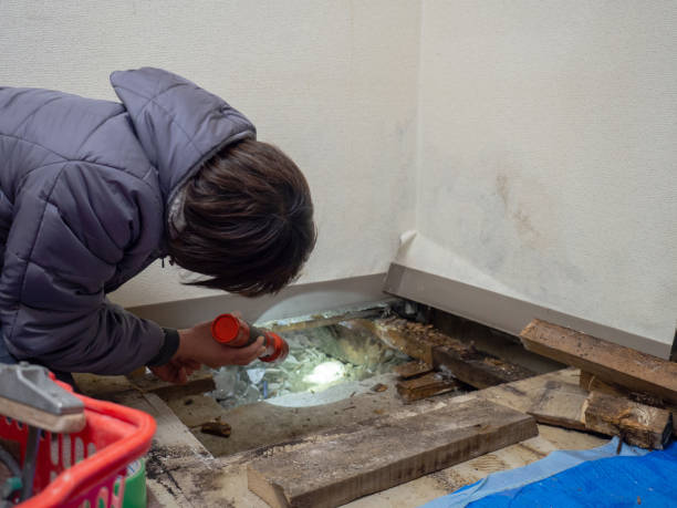 Best Crawl Space Mold Remediation  in Melwood, MD