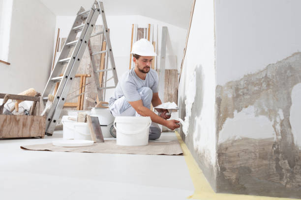 Best Basement Mold Removal  in Melwood, MD