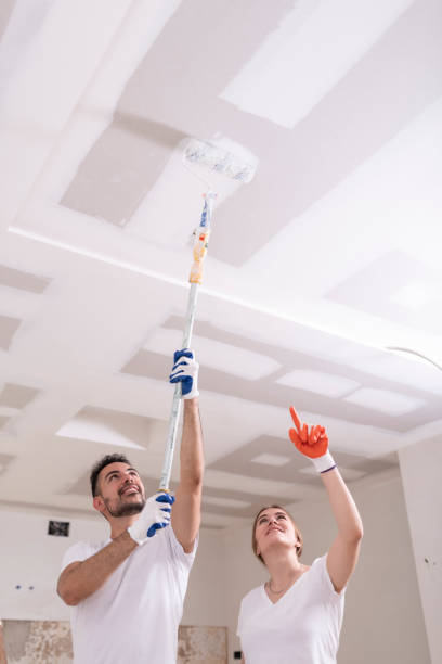 Best Mold Damage Restoration  in Melwood, MD