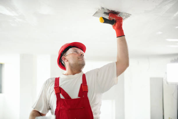 Best Residential Mold Inspection & Testing  in Melwood, MD