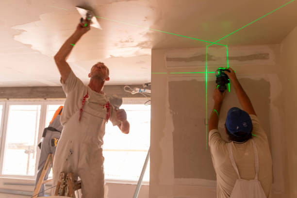Best Real Estate Mold Inspection  in Melwood, MD