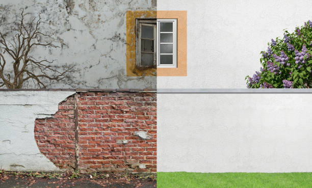 Best Mold Prevention Services  in Melwood, MD