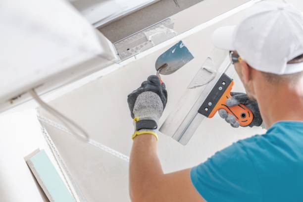 Best Attic Mold Removal  in Melwood, MD